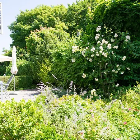 Haus Roseneck 4 아파트 노르데메이